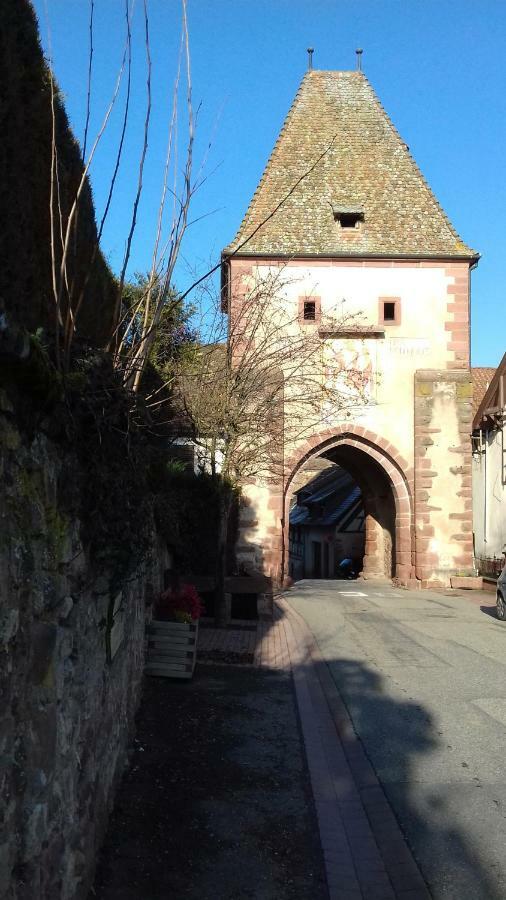 Le Nid De Birsa, 3 Etoiles, Hebergement De Tres Bon Confort Boersch Exterior foto