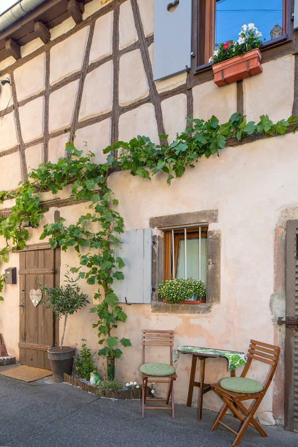 Le Nid De Birsa, 3 Etoiles, Hebergement De Tres Bon Confort Boersch Exterior foto