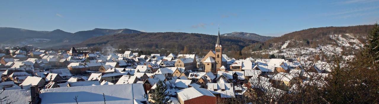 Le Nid De Birsa, 3 Etoiles, Hebergement De Tres Bon Confort Boersch Exterior foto